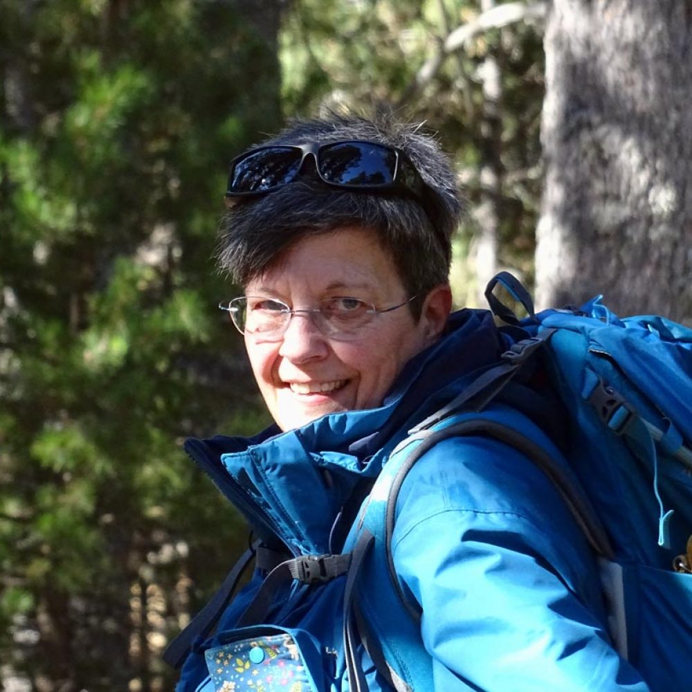 Sobre Mi - Puntades i Petjades